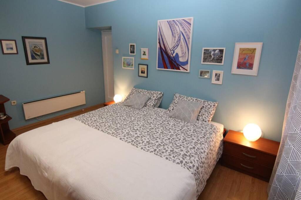 Fast Friend - Cozy Apartment In The Center With Private Garage Rijeka Exterior photo